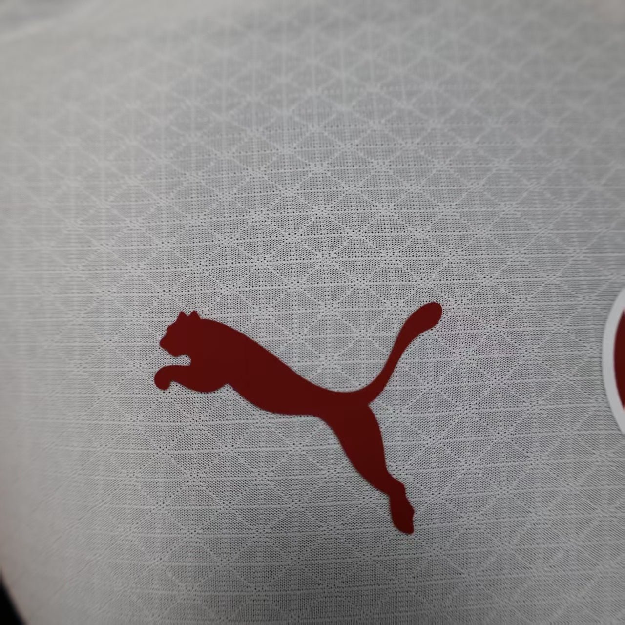 {Style No: 4989} Galatasaray Away Kit 25/26 - Image 3