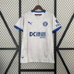 {Style No: 91B31Z5P} {Style No: 36405} Alaves Away Kit 24/25