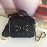 {Style No: 9MRGZ14B} CC MINI 17 VANITY CASE IN BLACK CALFSKIN GOLD HARDWARE