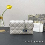 {Style No: 3X48HDBG} CARO SLIM POUCH 21 BAG IN WHITE CALFSKIN