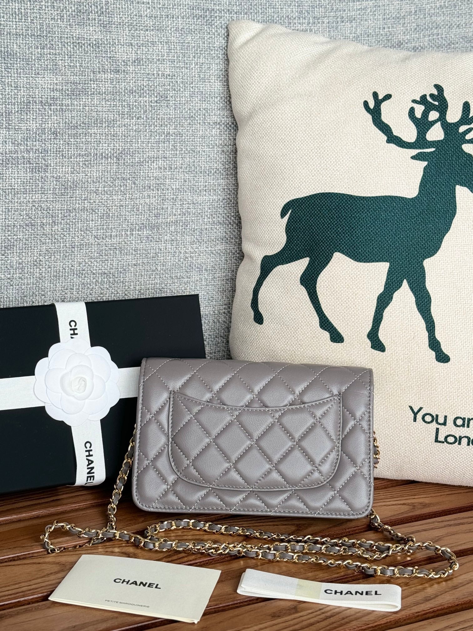 {Style No: BH14BZ6M} CC WOC ENTRUPY 19 BAG IN SPANISH GREY CALFSKIN - Image 4