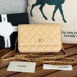 {Style No: 6ML6QKMZ} CC WOC ENTRUPY 19 BAG IN DARK CREAM CALFSKIN
