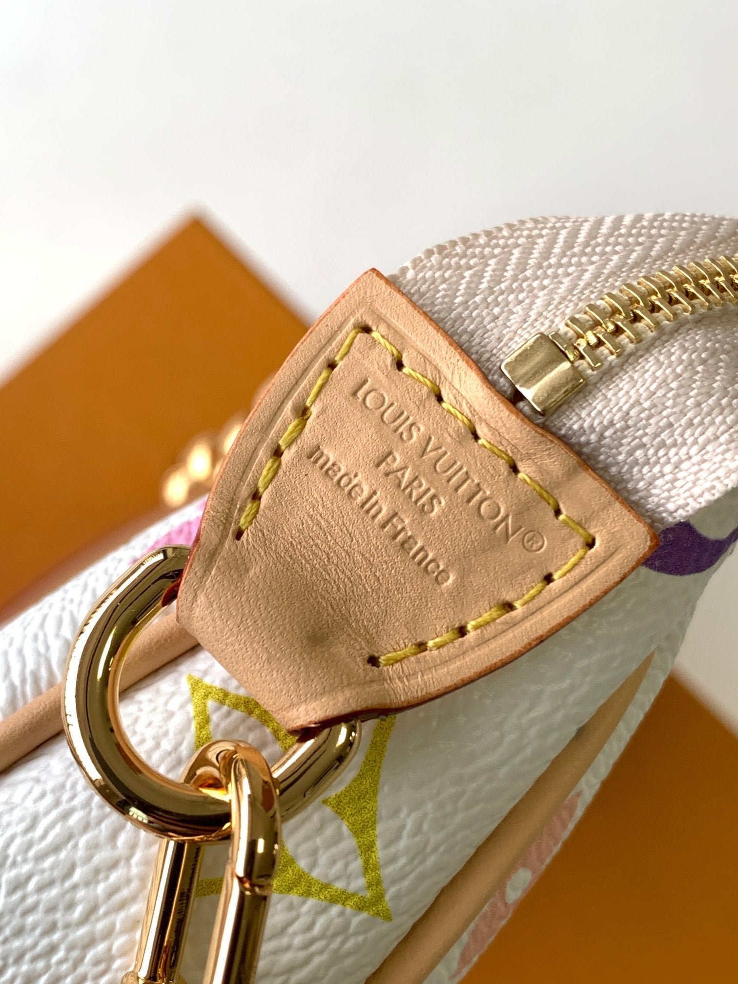 {Style No: SL3GZXH6} POCHETTE ACCESSOIRES BAG 22 IN MULTICOLOR MONOGRAM CANVAS AND COWHIDE - Image 5