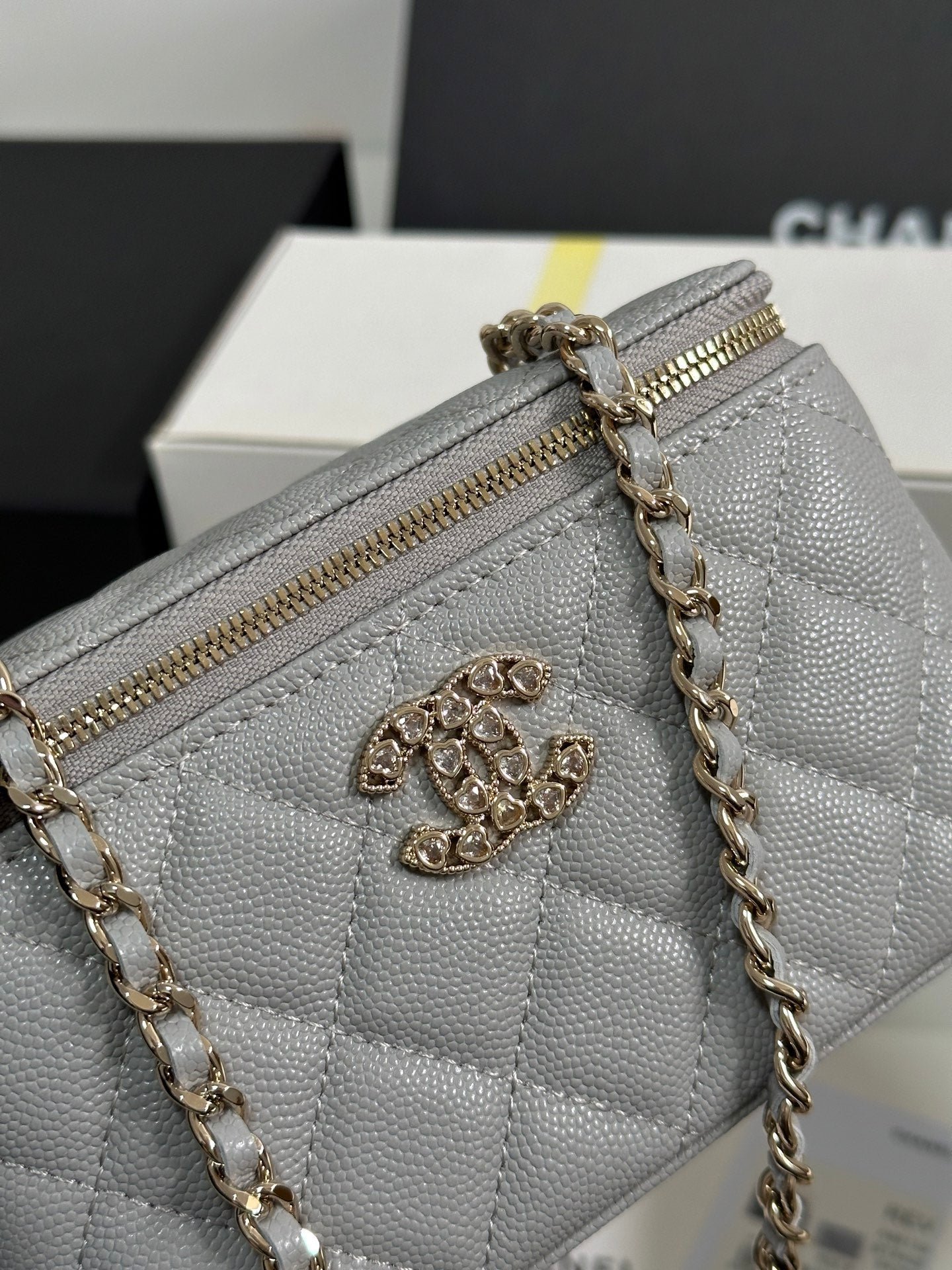 {Style No: RNL25JQL} VANITY CASE 17 CRYSTAL STUDDED LOGO IN GREY CALFSKIN GOLD HARDWARE - Image 3