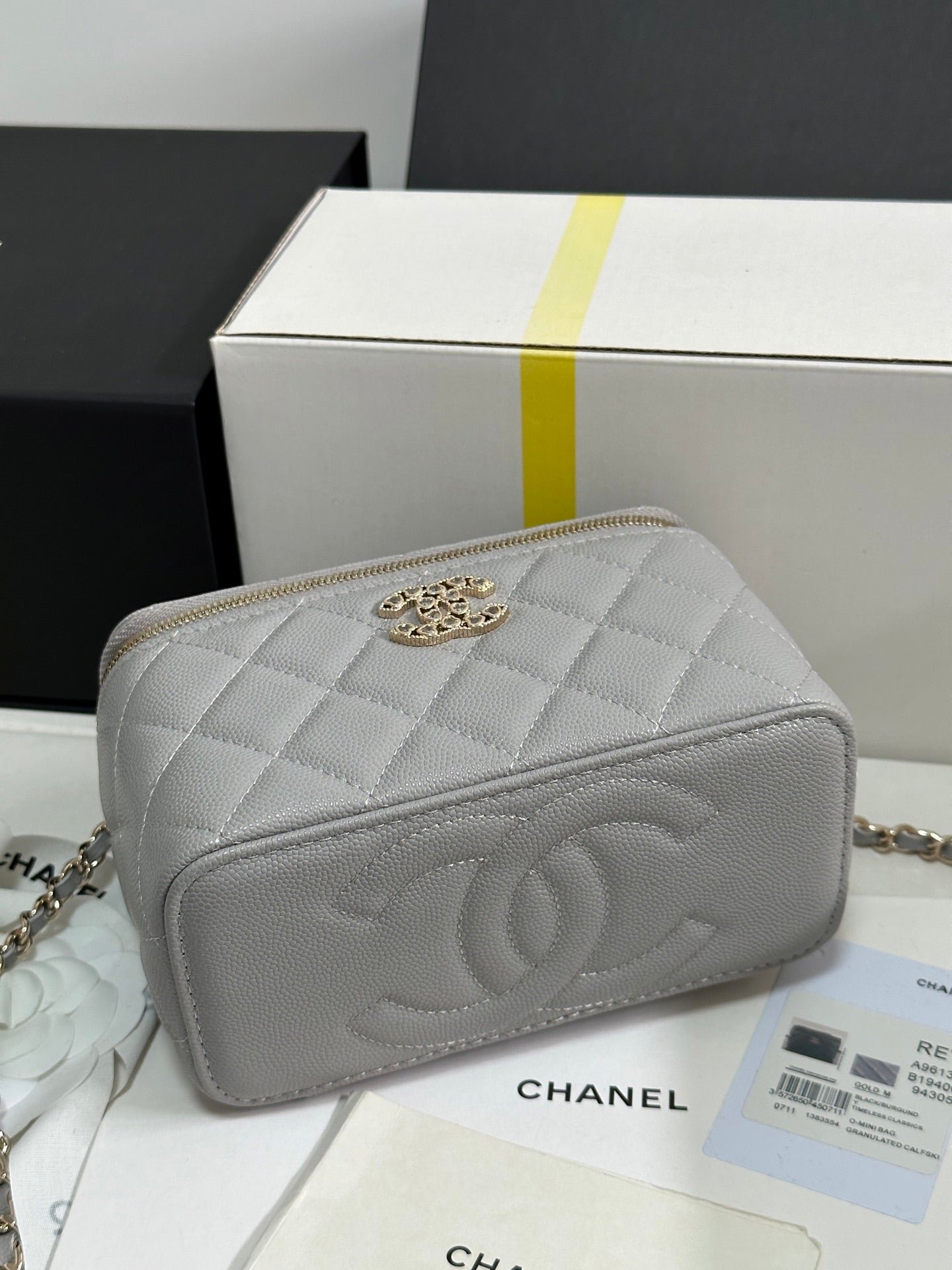 {Style No: RNL25JQL} VANITY CASE 17 CRYSTAL STUDDED LOGO IN GREY CALFSKIN GOLD HARDWARE - Image 4