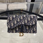 {Style No: VJFSEKH3} CD SADDLE 17CM BELT BEG BLUE OBLIQUE EMBROIDERY